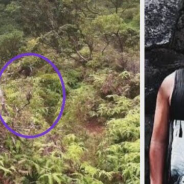 Daylenn Pua Missing: The Stairway to Heaven Disappearance That Still Has No Answers