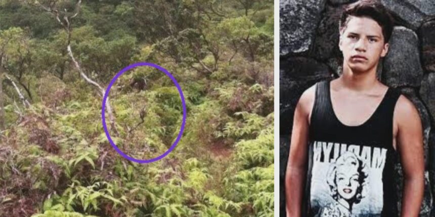 Daylenn Pua Missing: The Stairway to Heaven Disappearance That Still Has No Answers