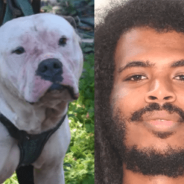 Georgia Incident Involving Alex Binyam Raises Questions About Home Security and Liability