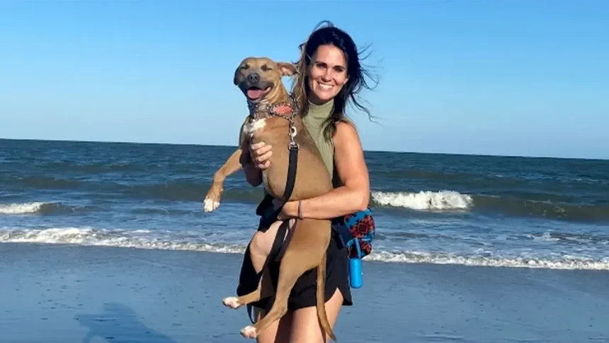 Georgia Acid Attack: Woman Critically Injured in Daylight Assault