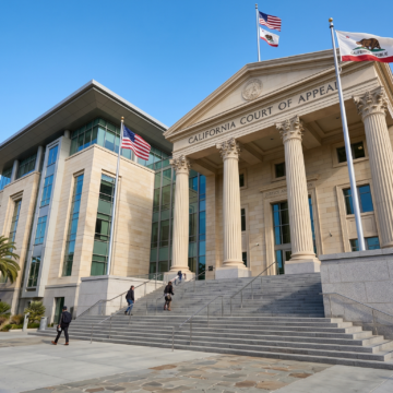 California Appeals Court Signals Support for Reality TV Star’s Privacy Lawsuit Over Intimate Videos