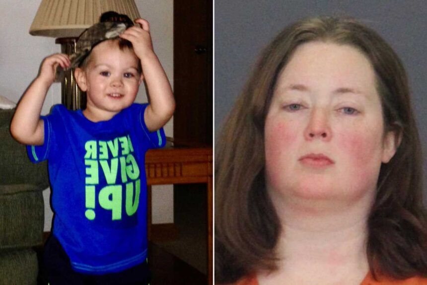 Amanda Maison Case: Michigan Mother Pleads Guilty in 2018 Child Death