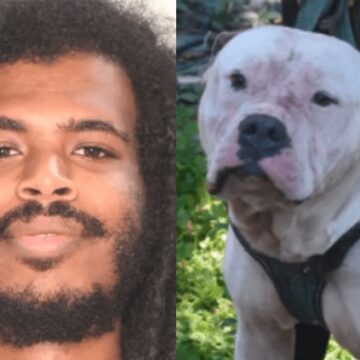 Alex Binyam Case: Georgia Incident Ruled Fatal Dog Attack