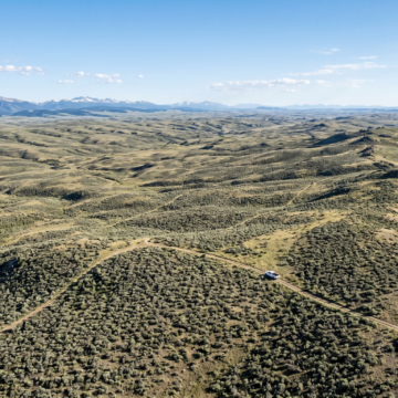 Legal Battle Continues Over Oil Leases in Critical Wildlife Habitat Across Western States