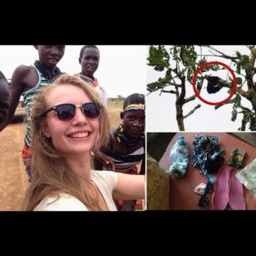 Sophia Koetsier Disappearance: A Mystery That Remains Unsolved