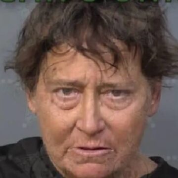 Florida Woman Accused of Driving Toward Children, Faces Multiple Charges