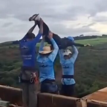 Three Instructors Charged After Fatal Bungee Jump Without Safety Cord