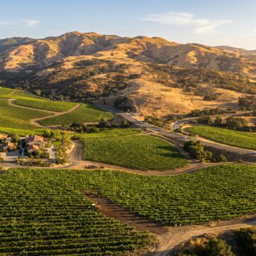 featured-50 Climate Shifts May Transform California’s Wine Growing Regions by Century’s End