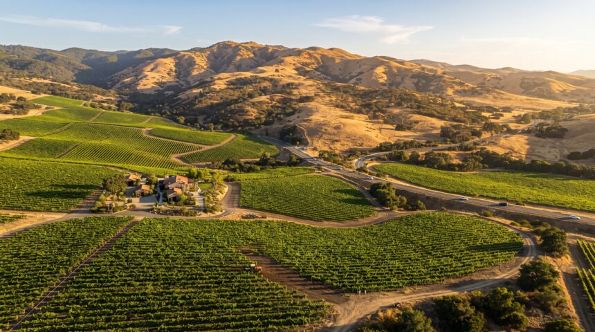 featured-50 Climate Shifts May Transform California’s Wine Growing Regions by Century’s End